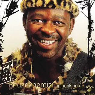 Phuzekhemisi – Nginenkinga