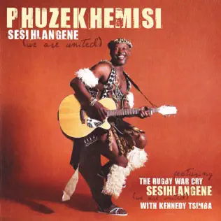 Phuzekhemisi – Sesihlangene
