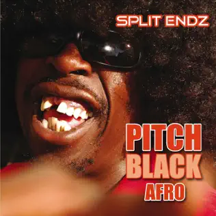 Pitch Black Afro – Split Endz