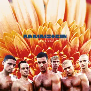 Rammstein – Herzeleid (XXV Anniversary Edition – Remastered)