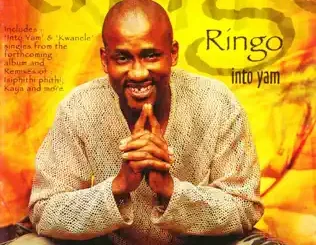 Ringo Madlingozi – Into Yam'