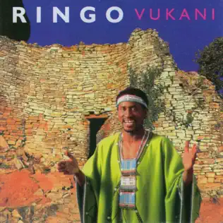 Ringo Madlingozi – Vukani