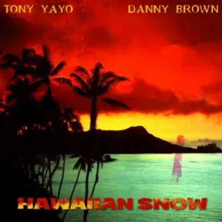 Tony Yayo, Danny Brown & Lil B – Hawaiian Snow