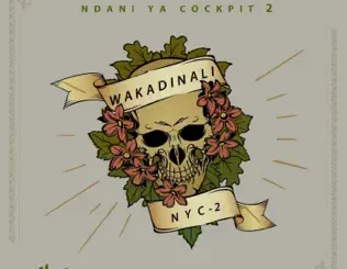 Wakadinali – Ndani Ya Cockpit 2