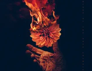 Wolves At the Gate – Eulogies
