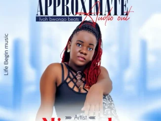 Approximate – Minarah