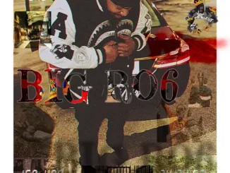 Big Ro6 War