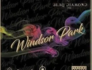 Blaq diamond – Jungle