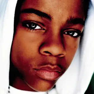 Bow Wow – Doggy Bag
