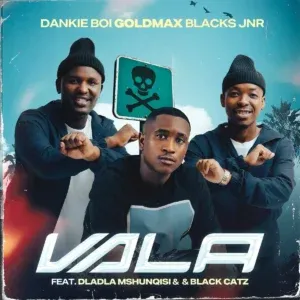 Dankie Boi – Vala ft GoldMax, Blacks Jnr, Dladla Mshunqisi & Black Catz