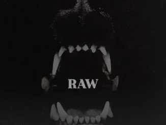 Destys RAW