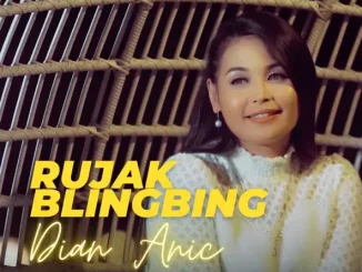 Dian Anic Rujak BlingBing