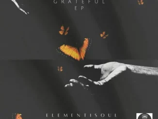 ElementicSoul – Grateful