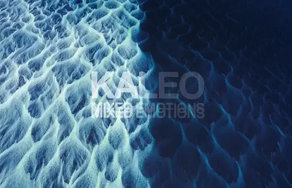KALEO MIXED EMOTIONS