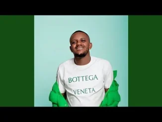 Kabza De Small Lawuleka Inhliziyo feat. Zawadi Yamungu