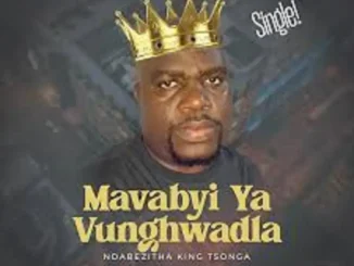 King Tsonga – Mavabyi ya vunghwadla
