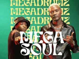 Megadrumz ft. The Real Man – Mak’ Moshakale