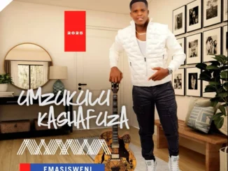 Mzukulu KaShafuza – Sofa silahlane