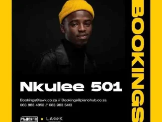 Nkulee 501 – Summerhouse Sessions ft MuziqalTone