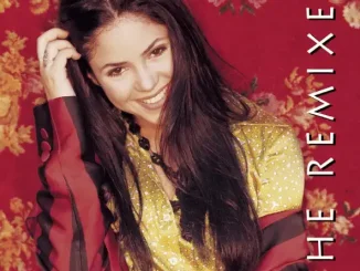 Shakira The Remixes