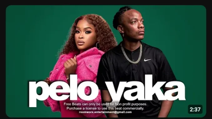 Shandesh – PELO YAKA ft Kaycherlow NLL
