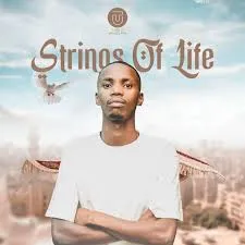 Toolz Umazelaphi – Strings of Life
