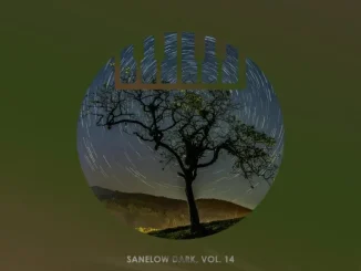 VA – Sanelow Dark, Vol. 14