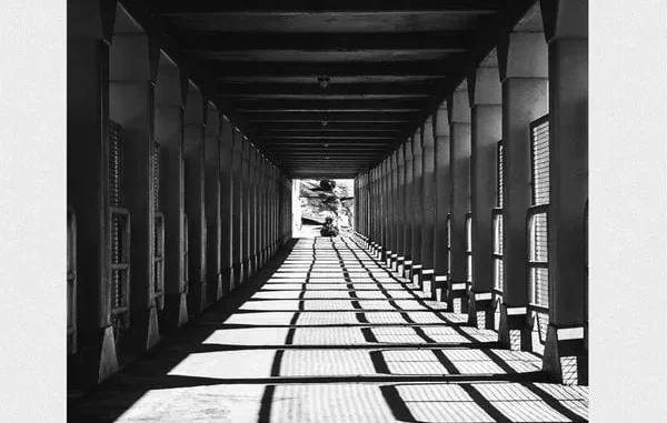 ZIDDO – Black & White