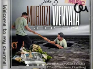 Zviko B – Zvandinodawo ft Zoloe, Cladah, Take5 TheHunter & Lia Sheng