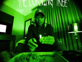 A Reece – The Burning Tree Remix Deluxe