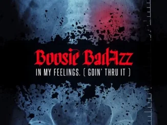 Boosie Badazz In My Feelings (Goin' Thru It)