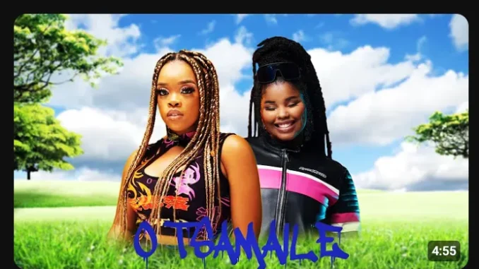 DJ KSB & Harrycane – O Tsamaile ft Nkosazana Daughter & Boohle
