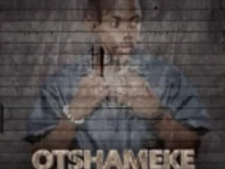 Dj The Guy – Otshameke 3Step Remix