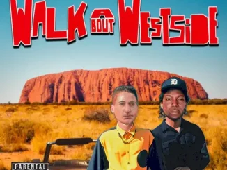Dj Views & Ras Kass Walkabout Westside