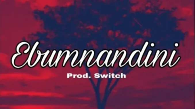 Dlala Thukzin – Ebumnandini (StatRazo) ft Ocar Mbo & Prod. Switch