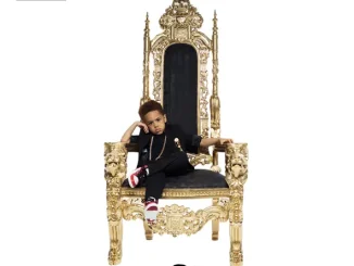 Fabolous The Young OG Project
