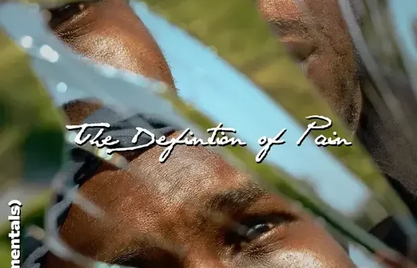 J. Stone The Definition of Pain (Instrumentals)