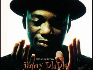Jimmy Dludlu Essence of Rhythm