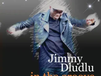 Jimmy Dludlu In the Groove