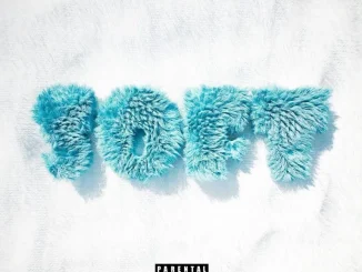 Nasty C – Soft ft Usimamane