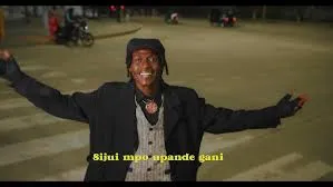 Nay Wa Mitego – Nyie Ni Nani