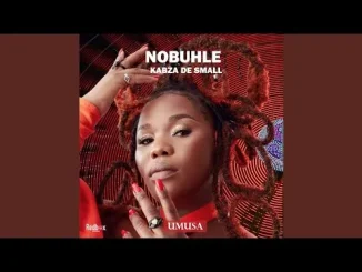 Nobuhle & Kabza De Small Umusa