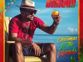 Shaggy Christmas in the Islands (Deluxe Edition)