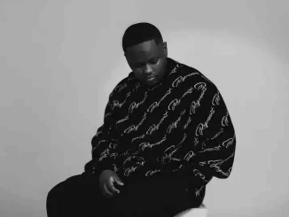 Stanky DeeJay – Pianocast Mix 41