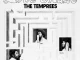 The Temprees Love Maze