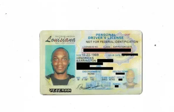 Veteran Director's Cut JPEGMAFIA
