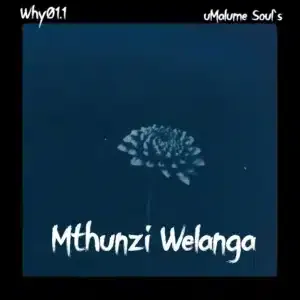 Why01.1 – Mthunzi Welanga ft uMalume Soul’s