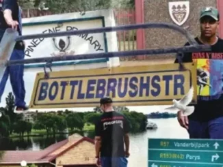 BottlebrushStr DJ Speedsta