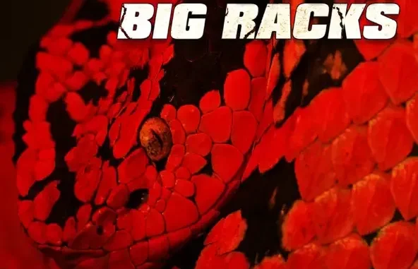 Cassius Jay – Big Racks (feat. Lil Uzi Vert)