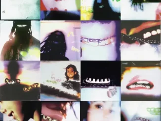 Cochise BRACES